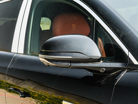 2025 BYD TANG L Image 29